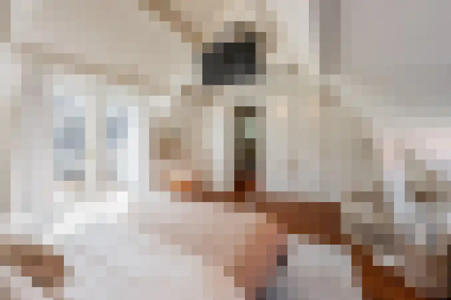 Vliet Noordzijde 45 Rijnsburg thumbnail 49
