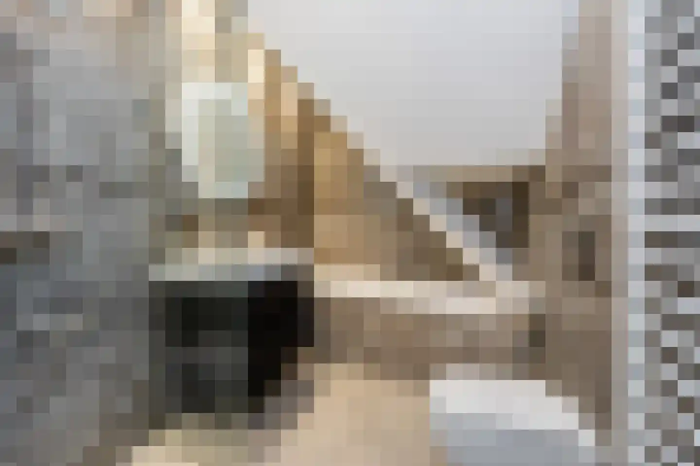 Vliet Noordzijde 45 Rijnsburg thumbnail 5