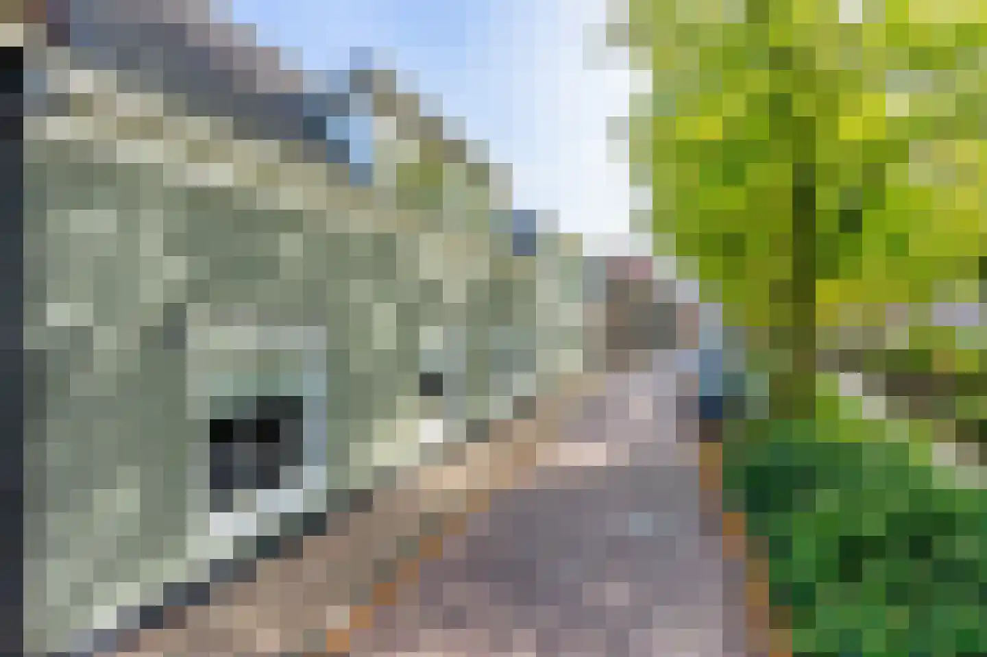 Vliet Noordzijde 45 Rijnsburg thumbnail 55