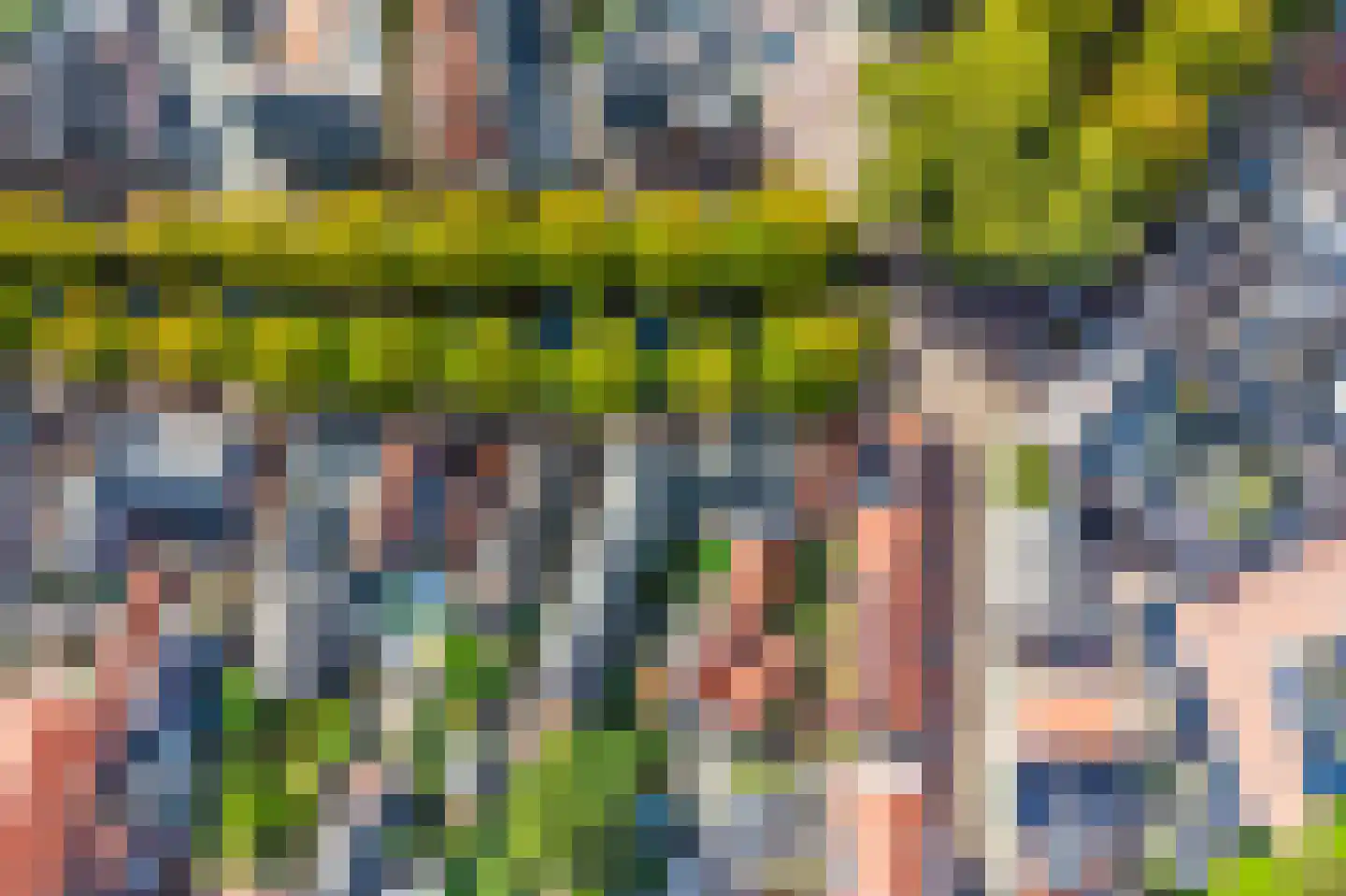 Vliet Noordzijde 45 Rijnsburg thumbnail 59