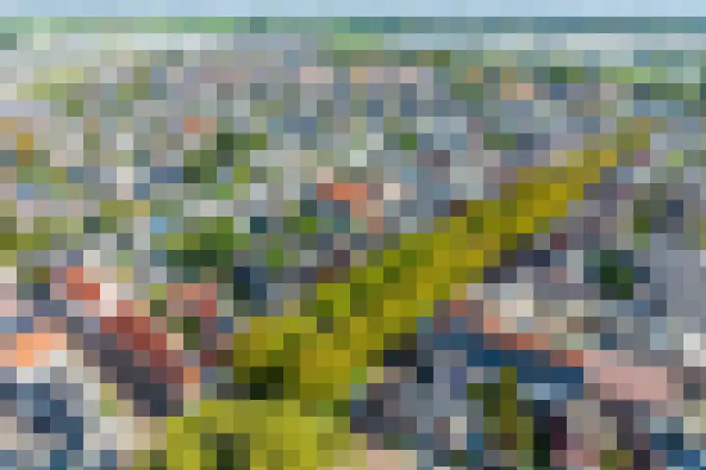 Vliet Noordzijde 45 Rijnsburg thumbnail 60