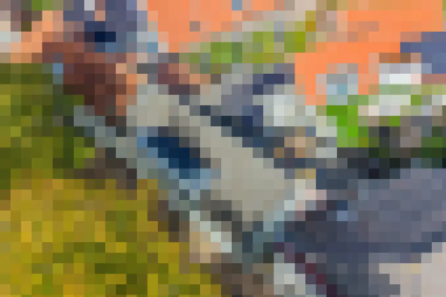 Vliet Noordzijde 45 Rijnsburg thumbnail 61