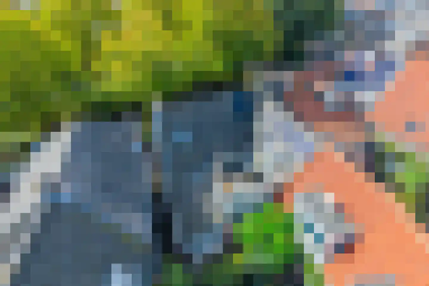 Vliet Noordzijde 45 Rijnsburg thumbnail 62