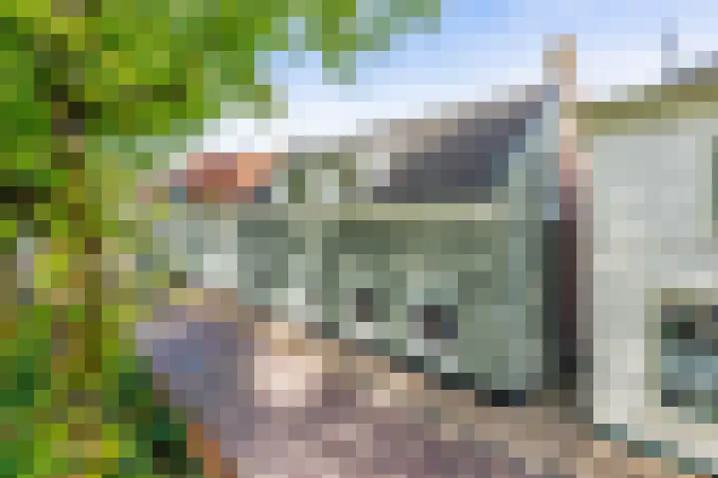Vliet Noordzijde 45 Rijnsburg thumbnail 8