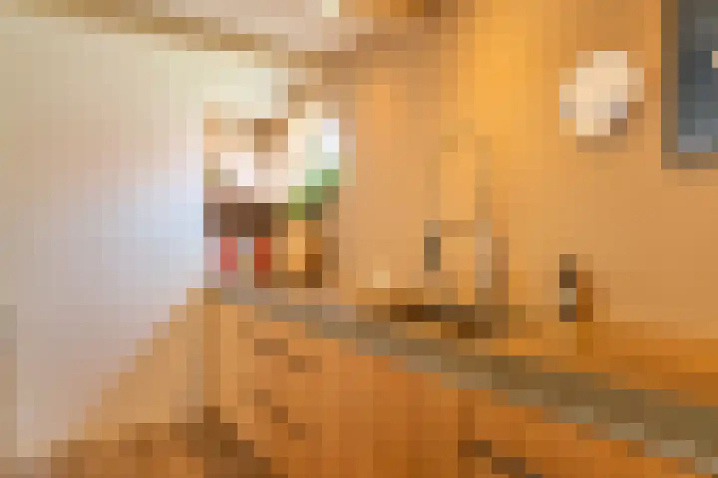 Vliet Noordzijde 49 Rijnsburg thumbnail 10