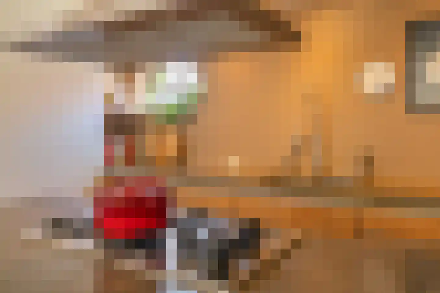 Vliet Noordzijde 49 Rijnsburg thumbnail 11