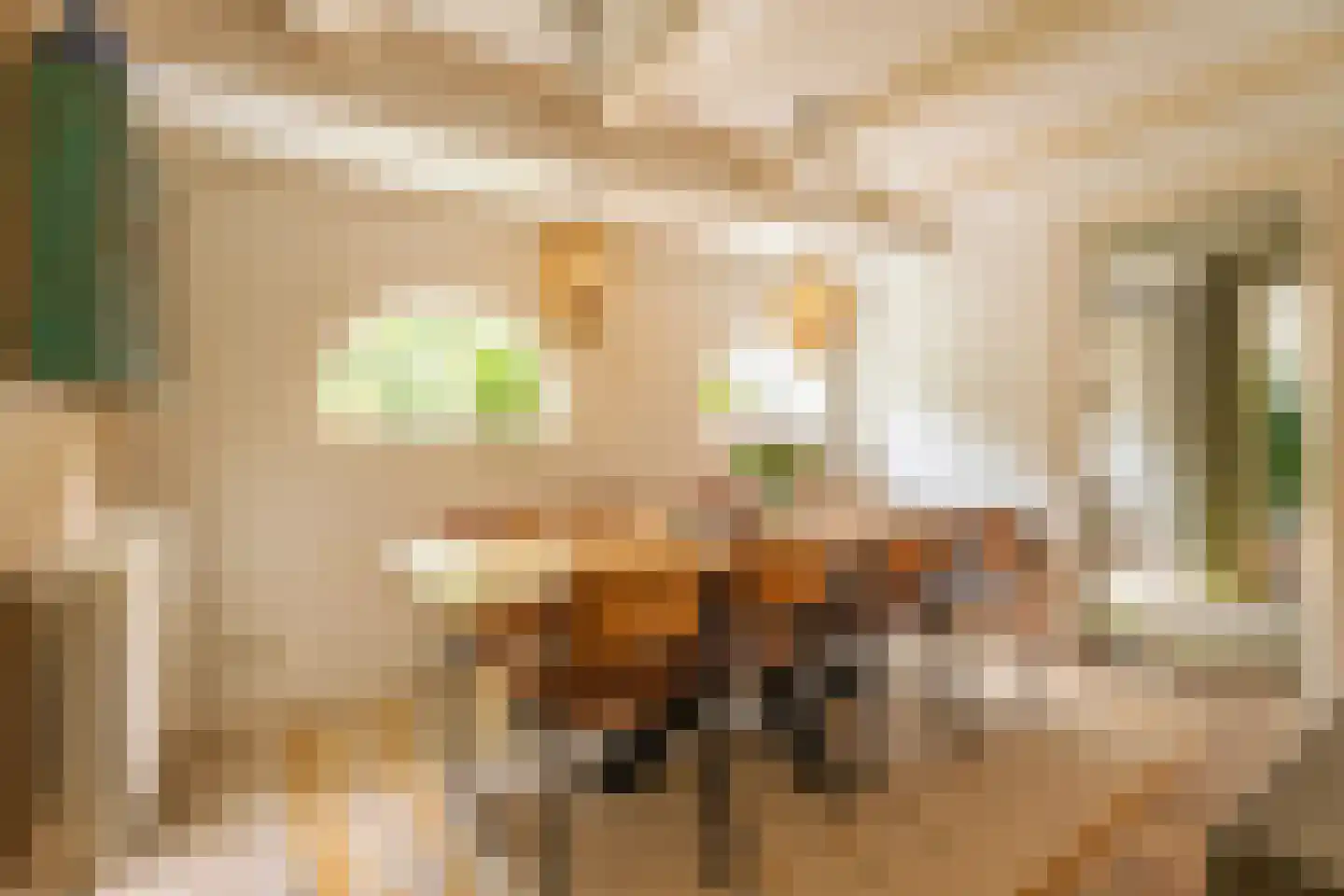 Vliet Noordzijde 49 Rijnsburg thumbnail 13