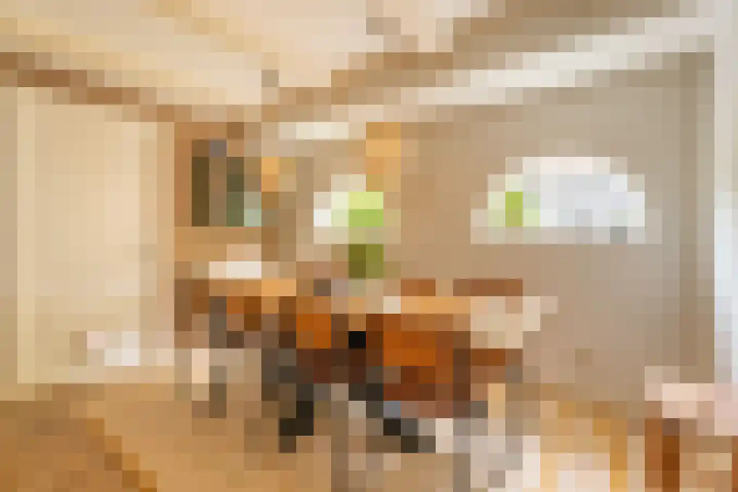 Vliet Noordzijde 49 Rijnsburg thumbnail 14