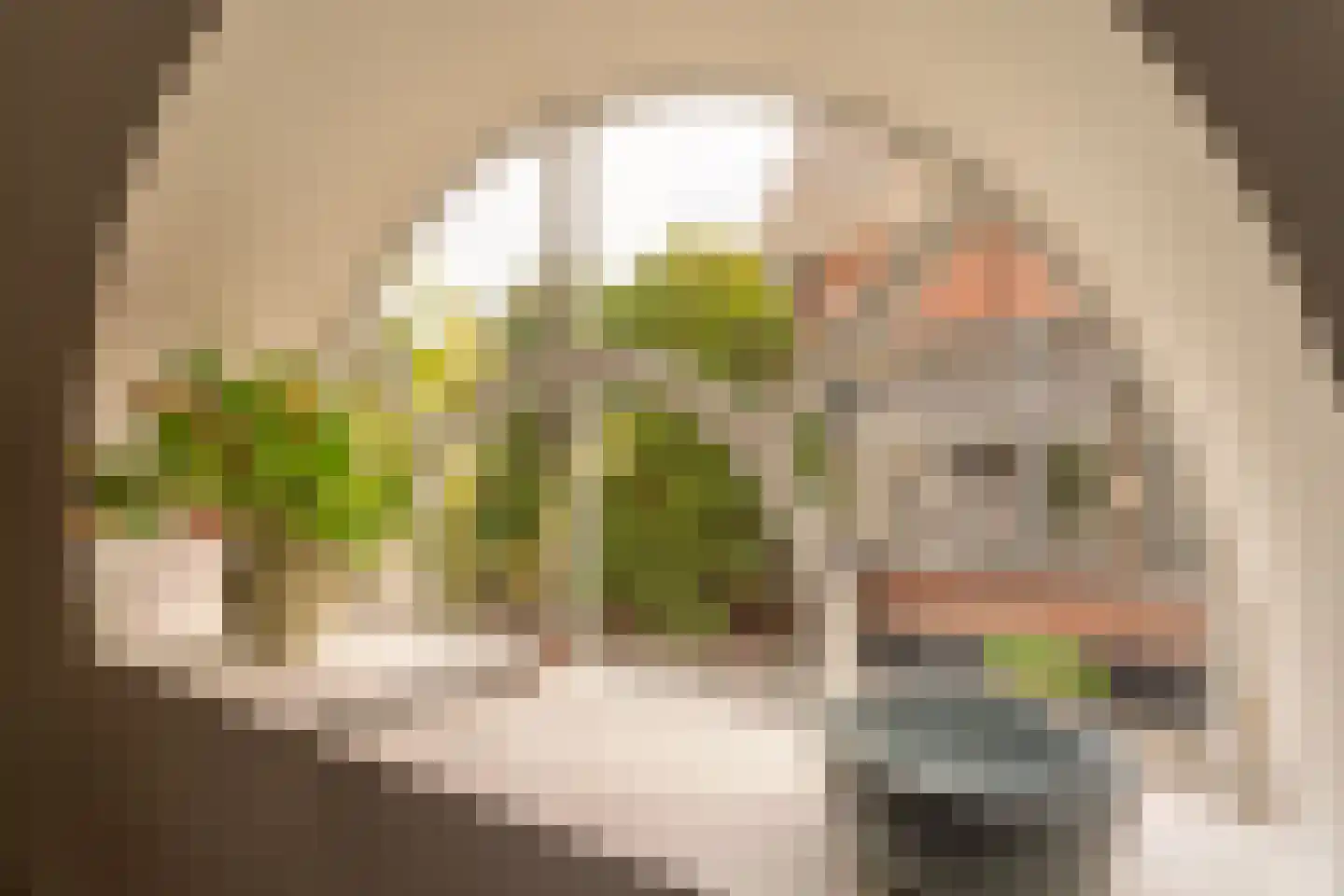 Vliet Noordzijde 49 Rijnsburg thumbnail 15