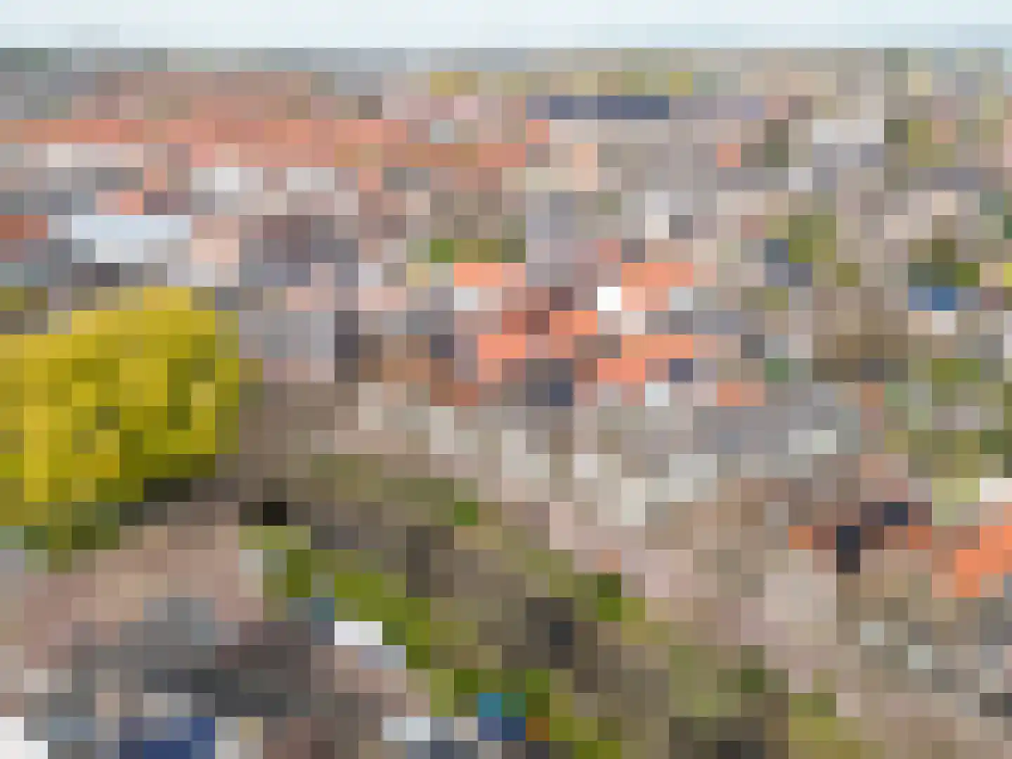 Vliet Noordzijde 49 Rijnsburg foto 2