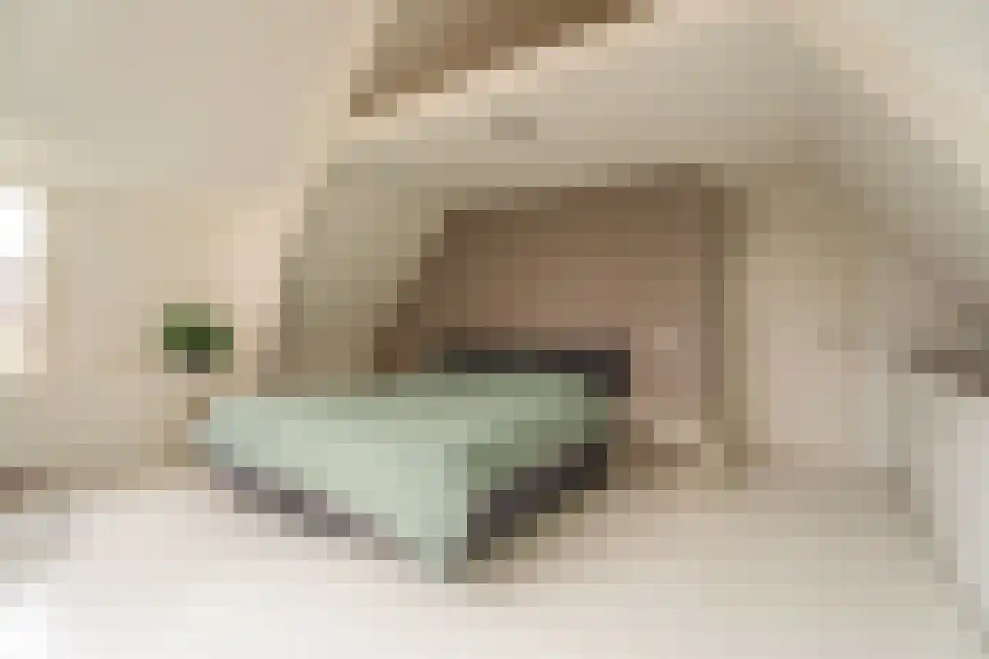 Vliet Noordzijde 49 Rijnsburg thumbnail 21