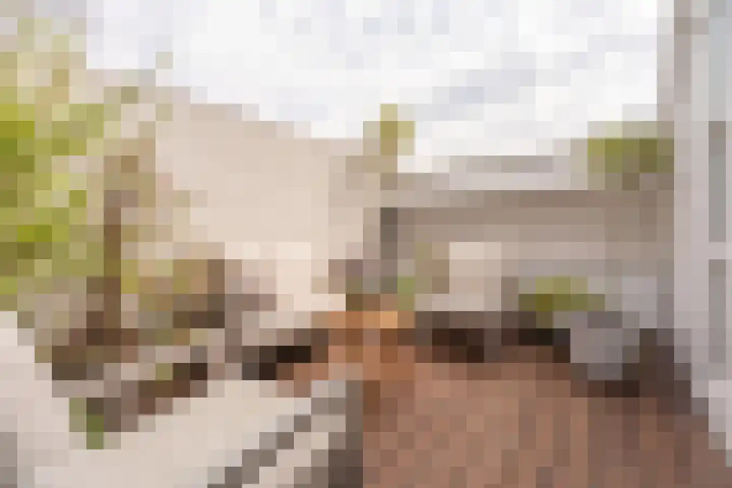 Vliet Noordzijde 49 Rijnsburg thumbnail 24