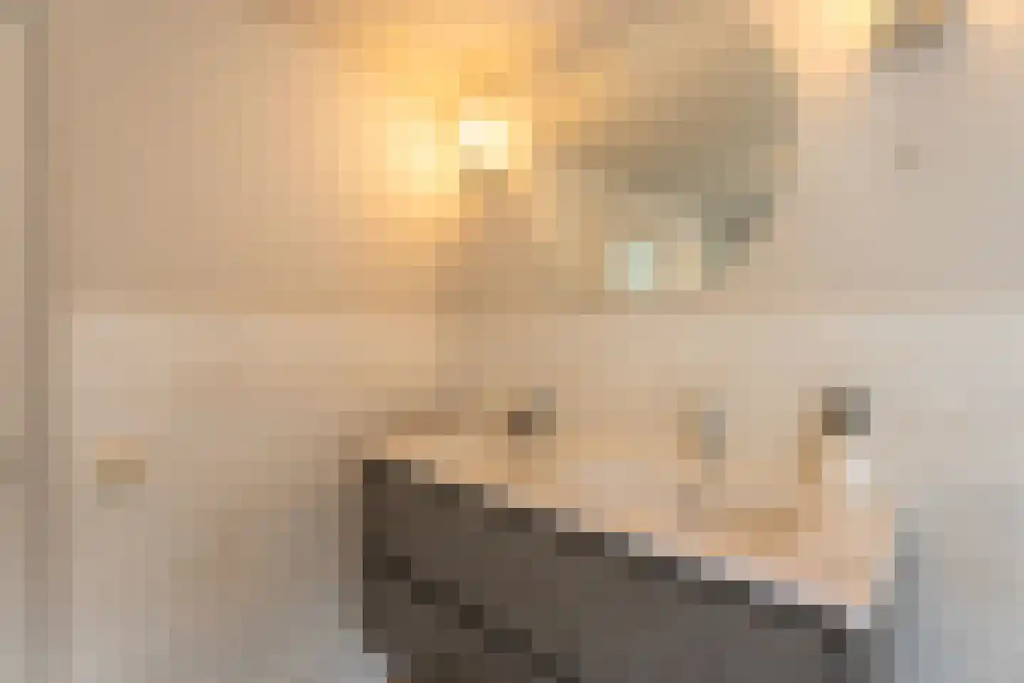 Vliet Noordzijde 49 Rijnsburg thumbnail 35