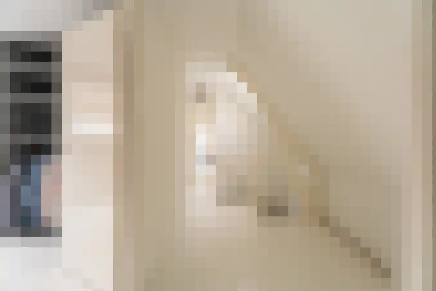 Vliet Noordzijde 49 Rijnsburg thumbnail 36