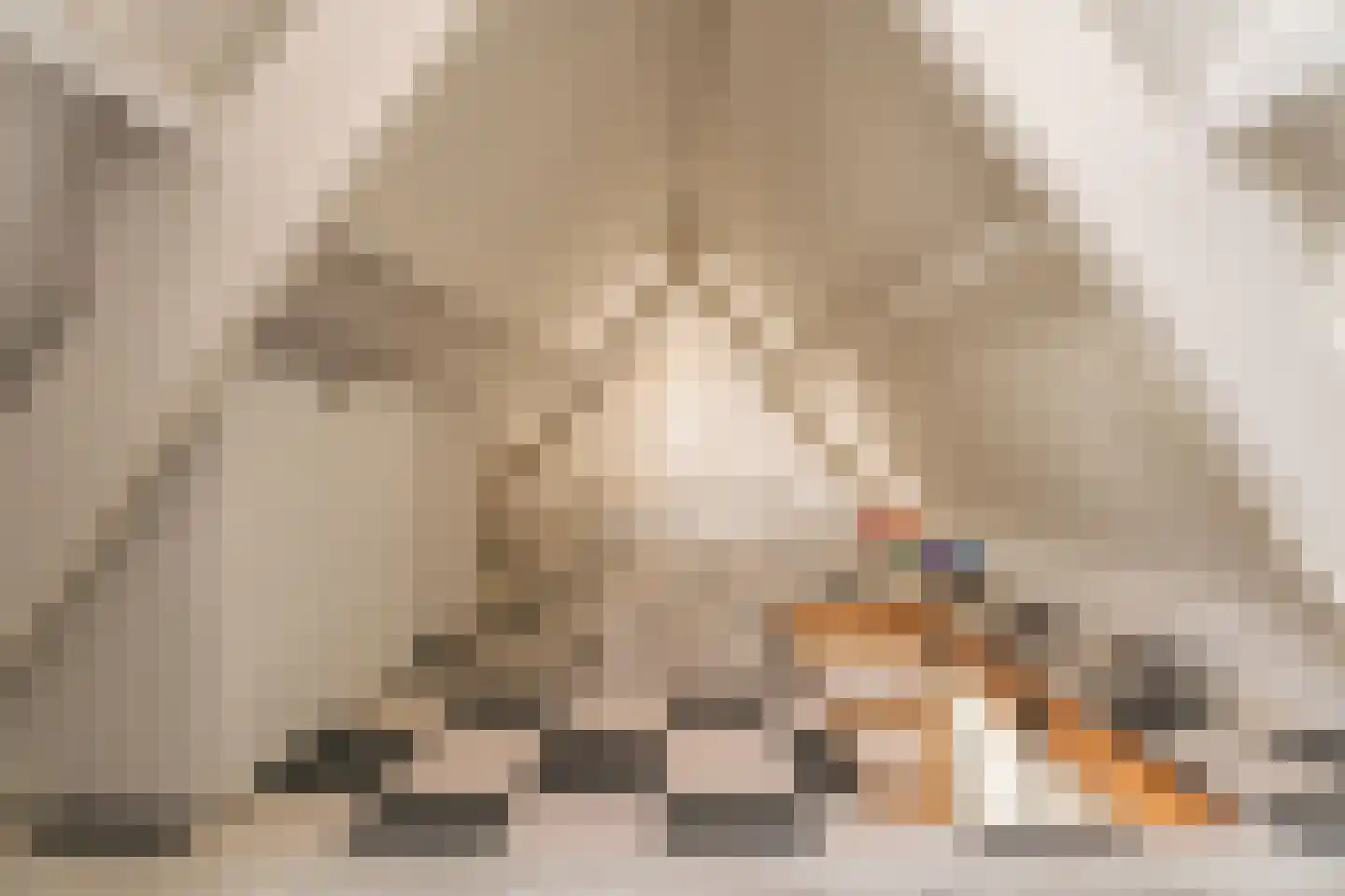 Vliet Noordzijde 49 Rijnsburg thumbnail 39