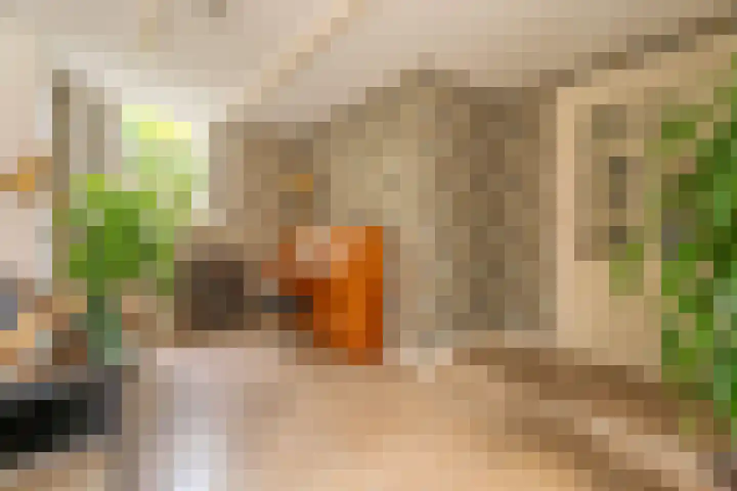 Vliet Noordzijde 49 Rijnsburg thumbnail 4