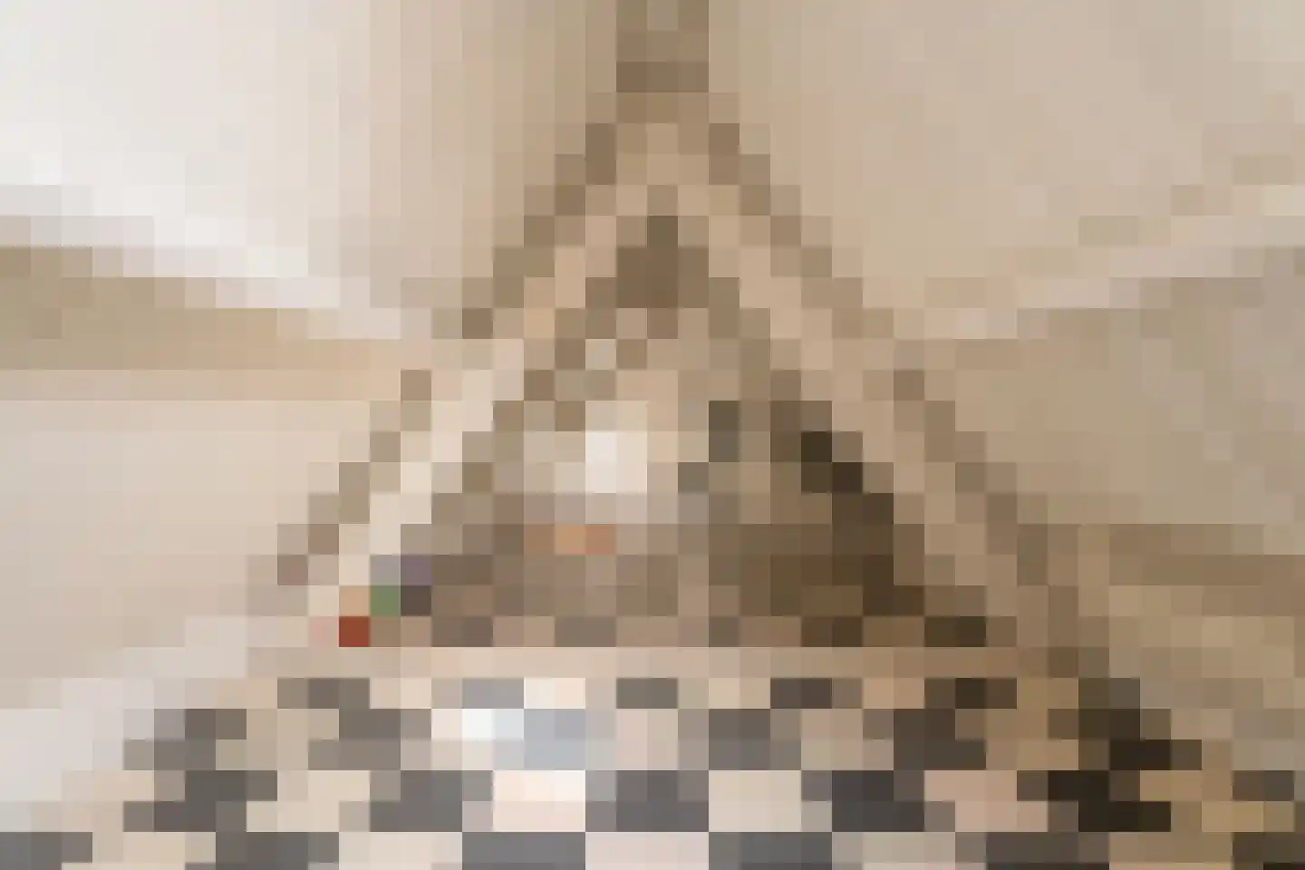 Vliet Noordzijde 49 Rijnsburg thumbnail 40