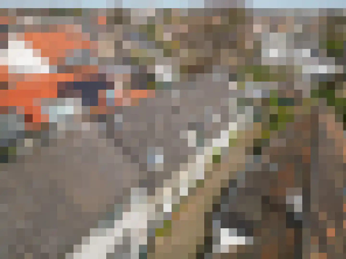 Vliet Noordzijde 49 Rijnsburg thumbnail 44
