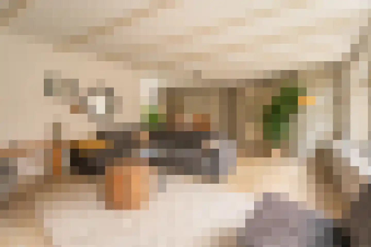 Vliet Noordzijde 49 Rijnsburg thumbnail 5