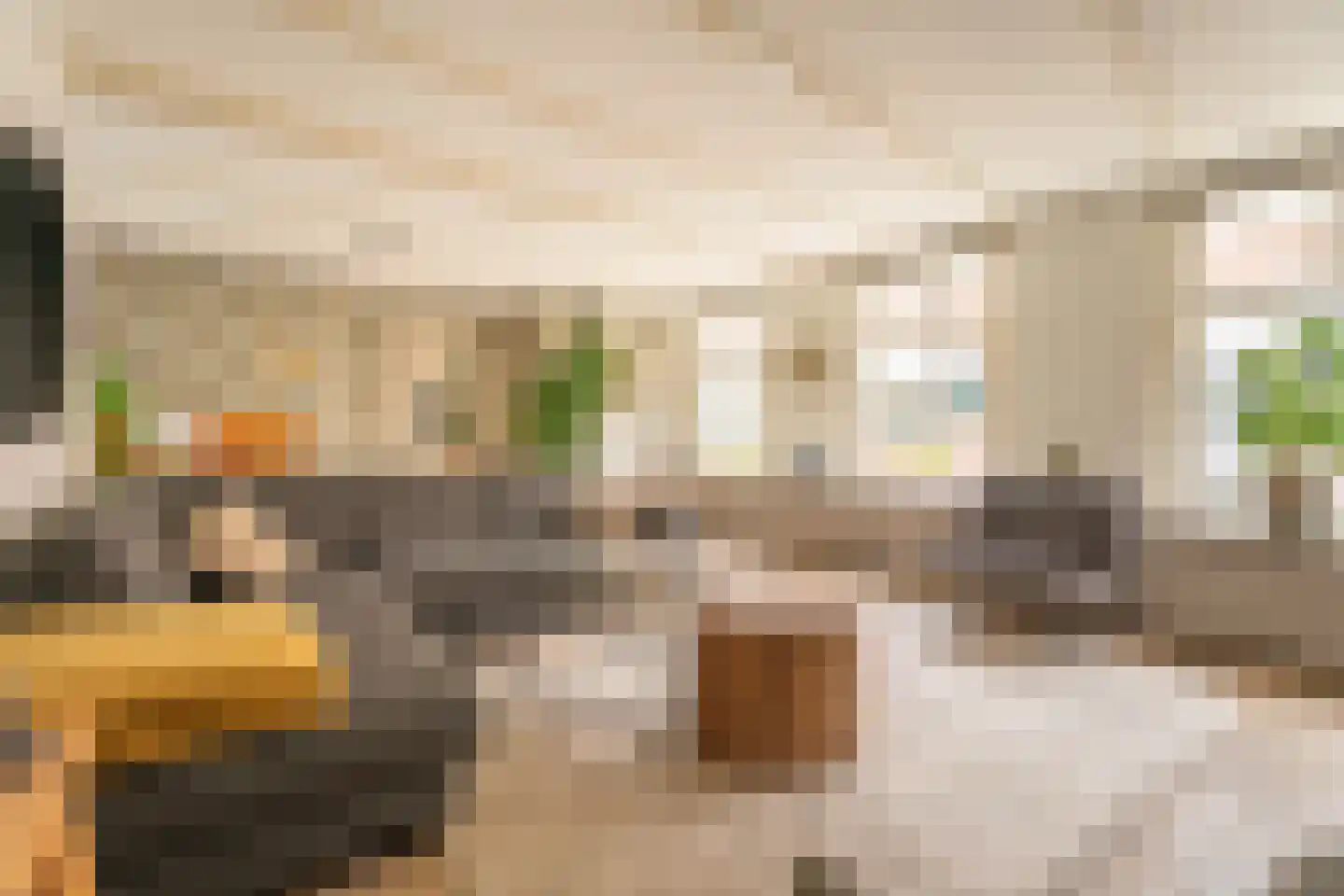 Vliet Noordzijde 49 Rijnsburg thumbnail 6