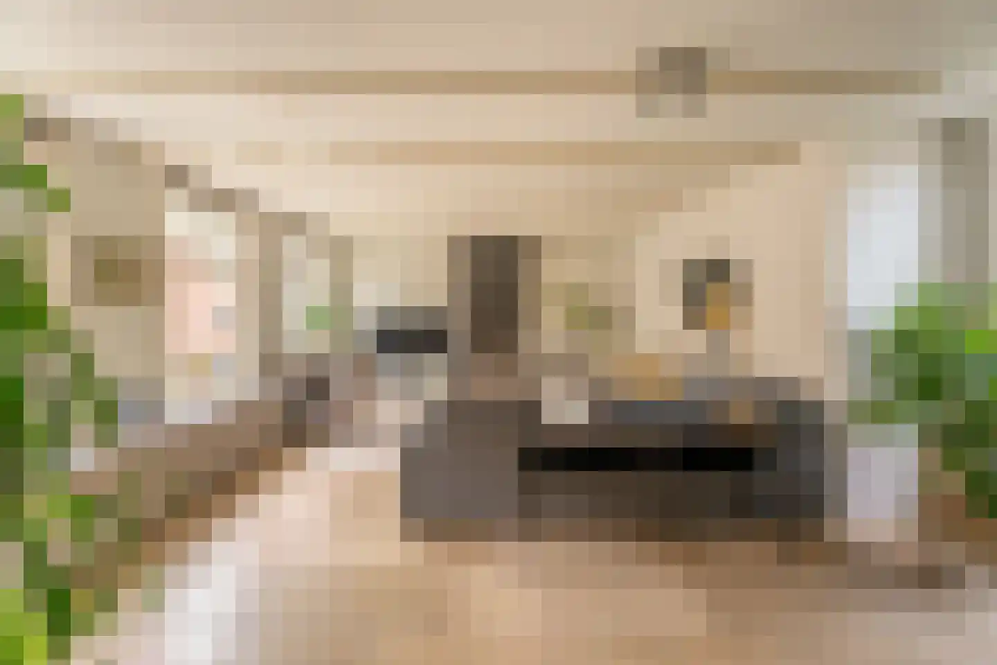 Vliet Noordzijde 49 Rijnsburg thumbnail 7