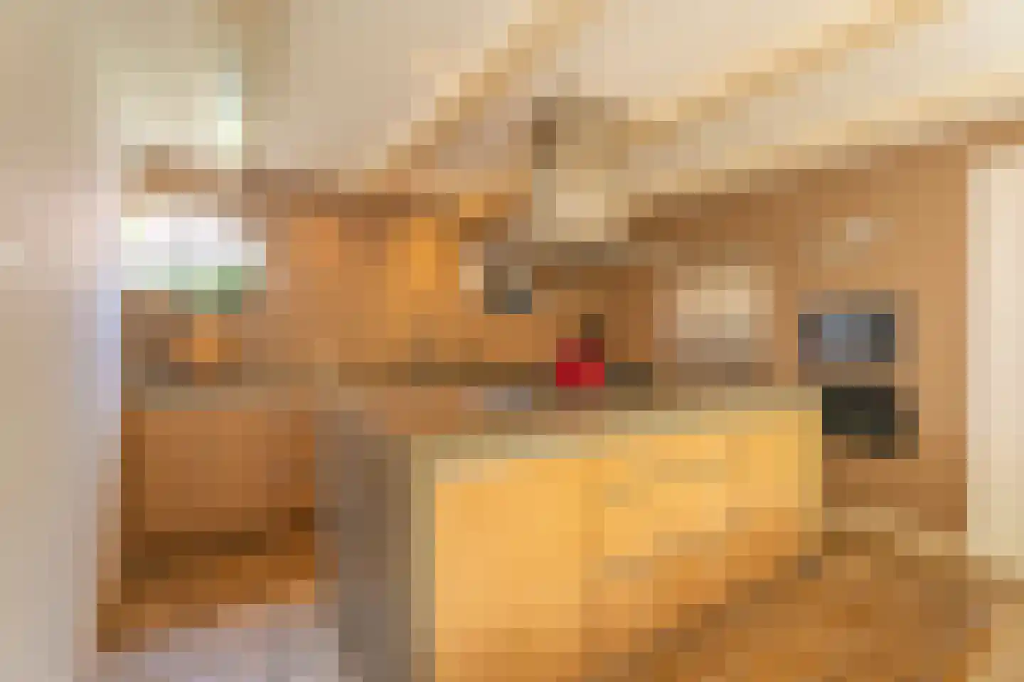 Vliet Noordzijde 49 Rijnsburg thumbnail 8