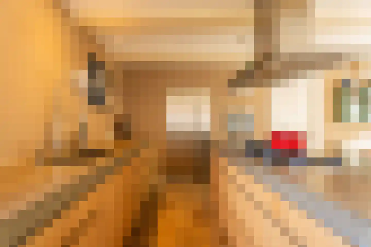 Vliet Noordzijde 49 Rijnsburg thumbnail 9