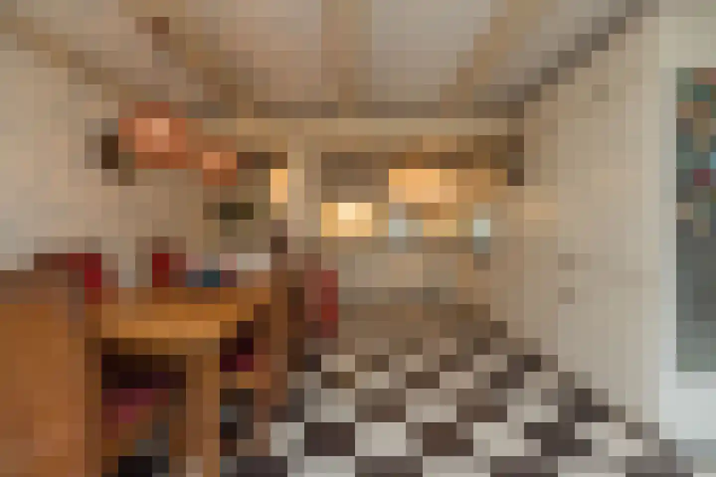 Vliet Noordzijde 57 Rijnsburg thumbnail 13