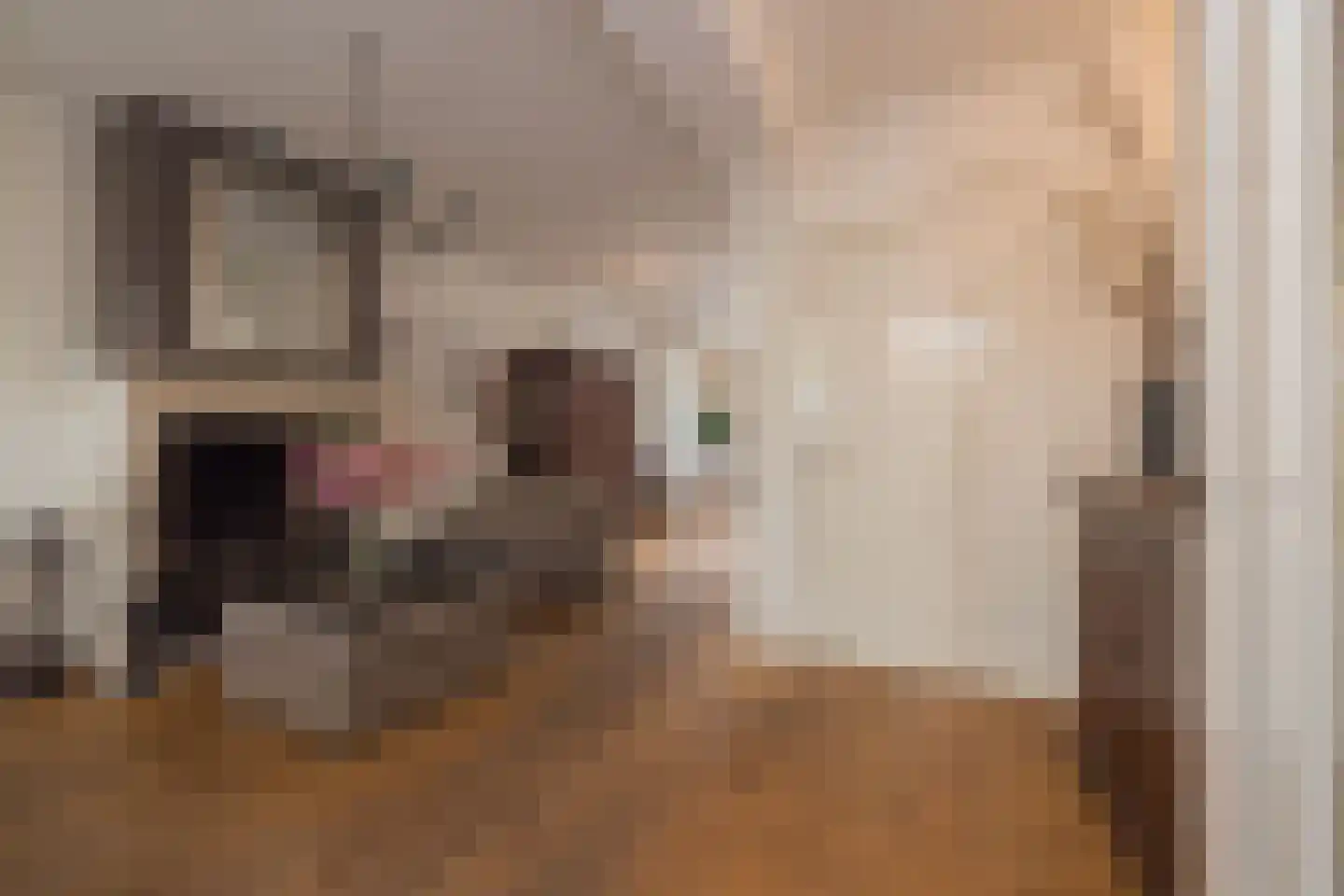 Vliet Noordzijde 57 Rijnsburg thumbnail 15