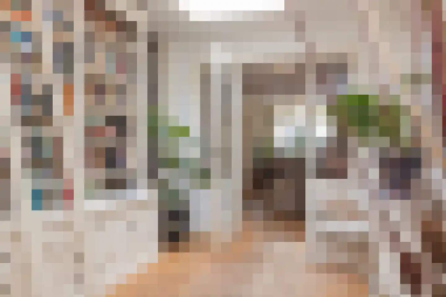 Vliet Noordzijde 57 Rijnsburg thumbnail 19