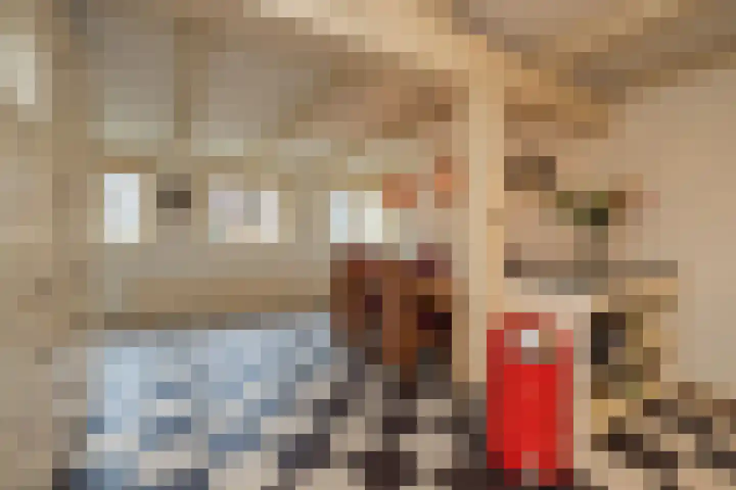 Vliet Noordzijde 57 Rijnsburg thumbnail 23