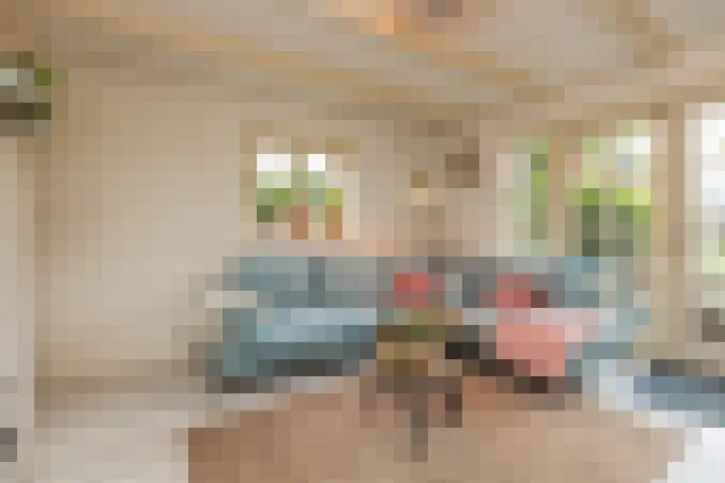 Vliet Noordzijde 57 Rijnsburg thumbnail 25