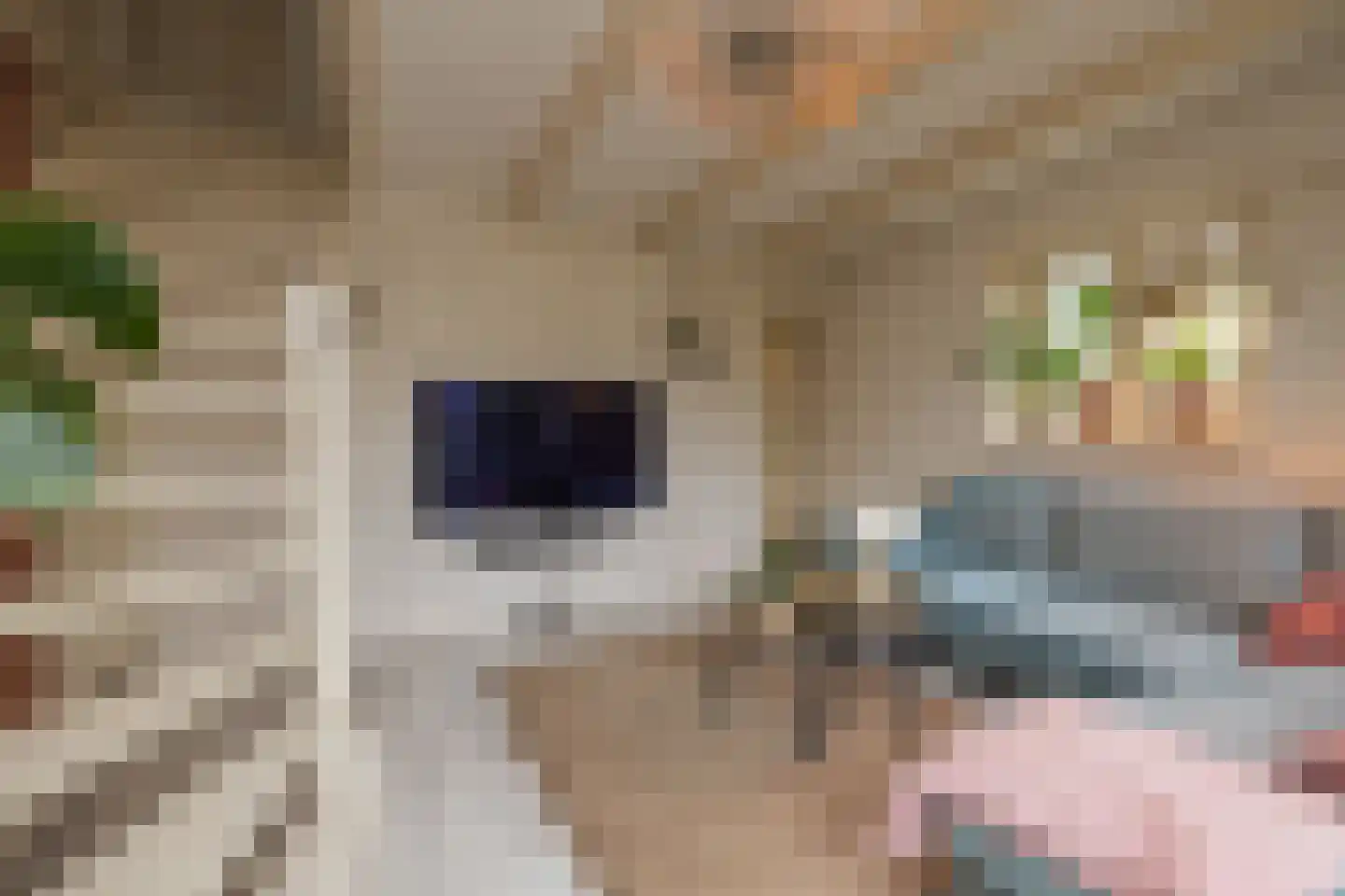 Vliet Noordzijde 57 Rijnsburg thumbnail 26