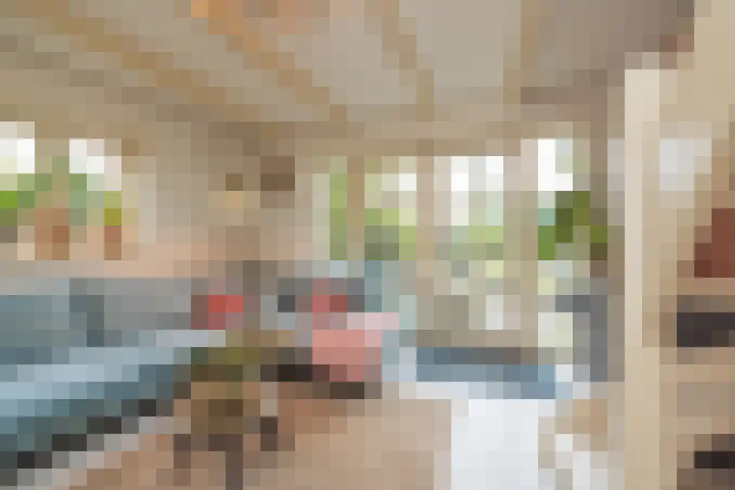 Vliet Noordzijde 57 Rijnsburg thumbnail 28
