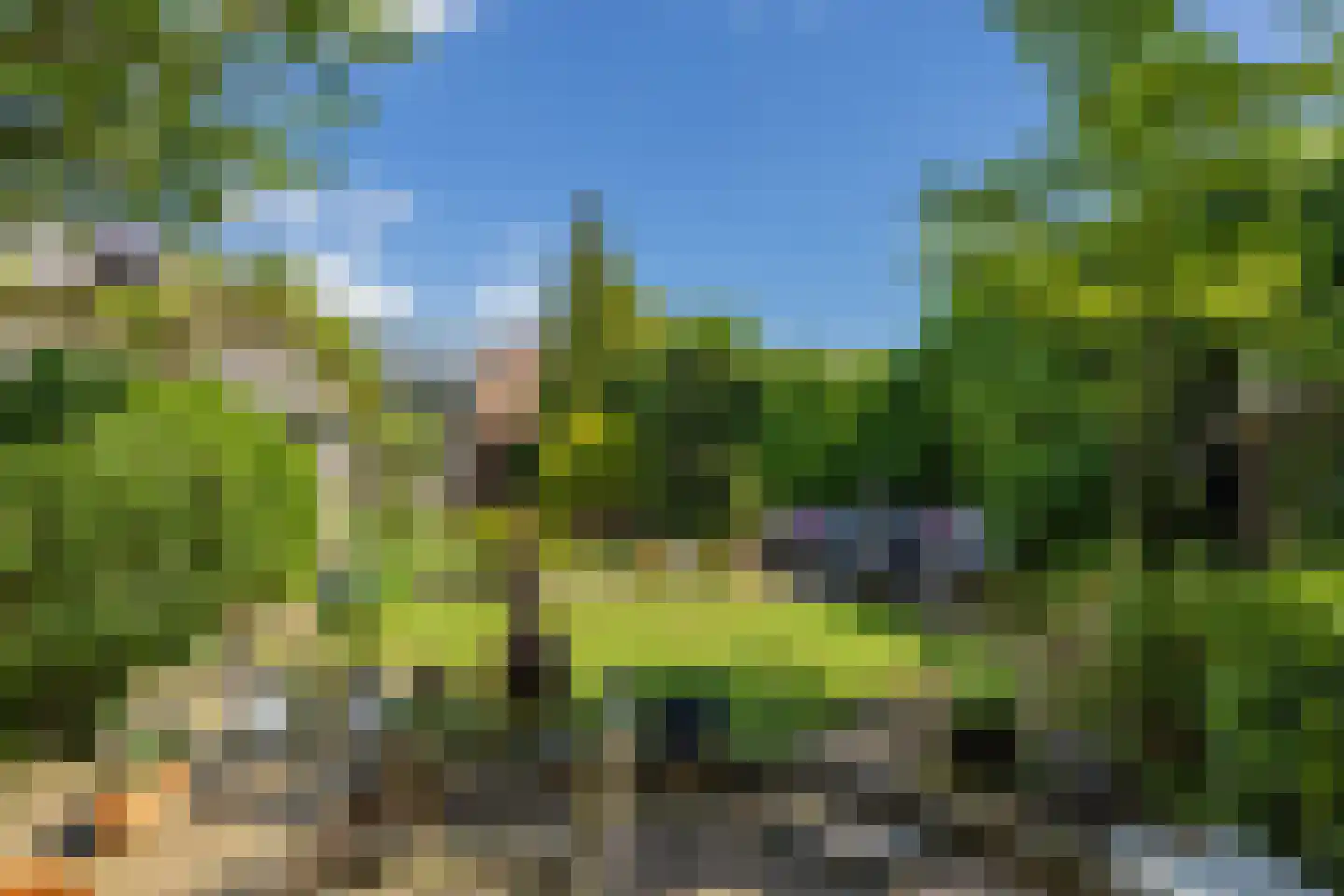 Vliet Noordzijde 57 Rijnsburg thumbnail 29