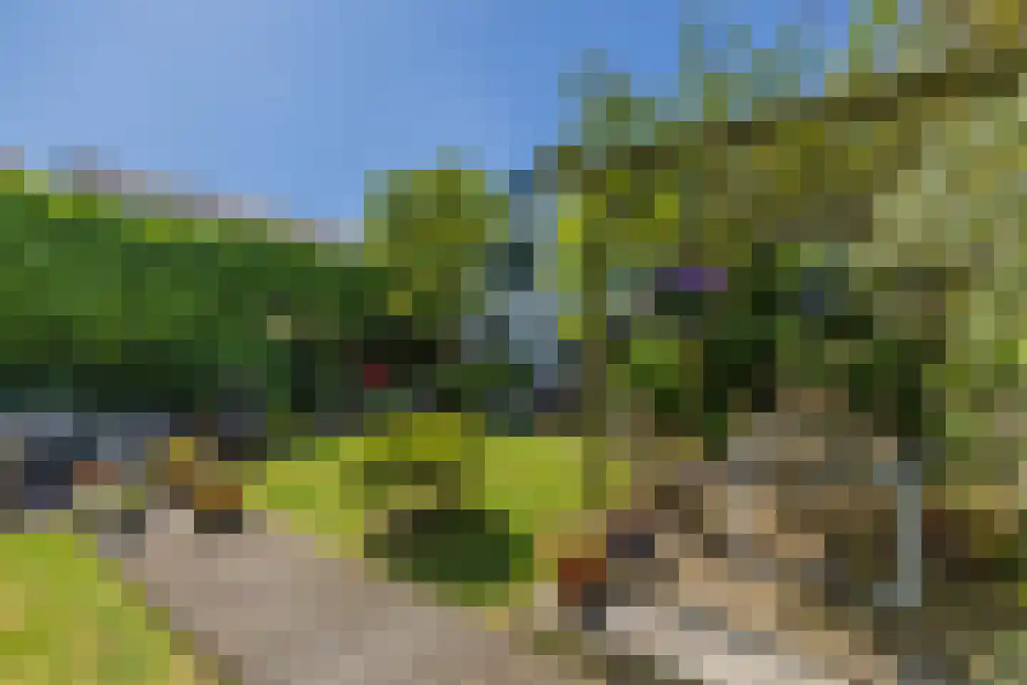 Vliet Noordzijde 57 Rijnsburg thumbnail 30