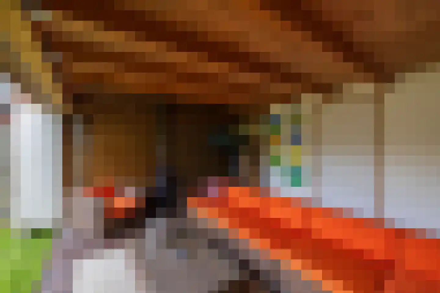 Vliet Noordzijde 57 Rijnsburg thumbnail 35