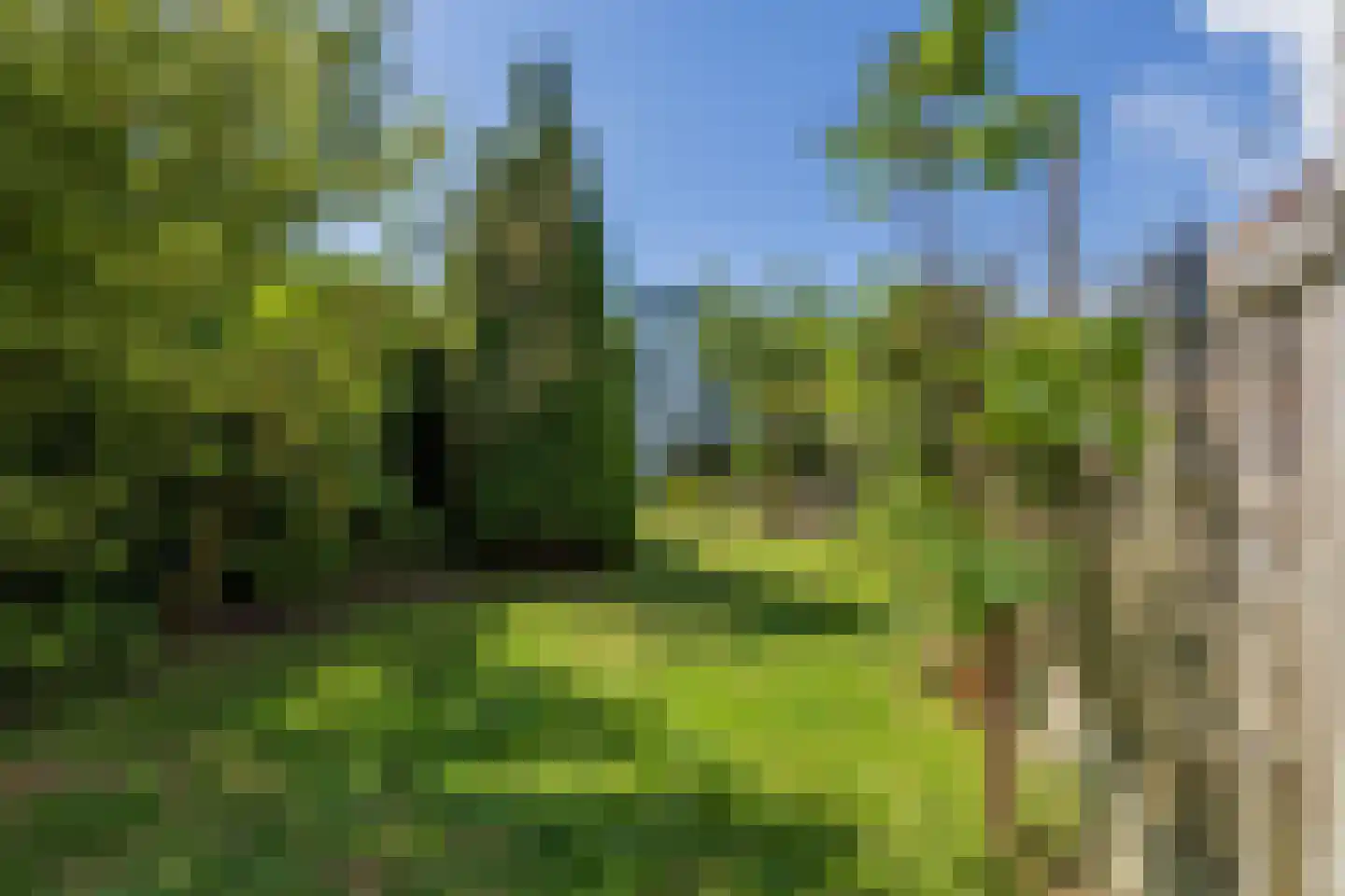 Vliet Noordzijde 57 Rijnsburg thumbnail 36