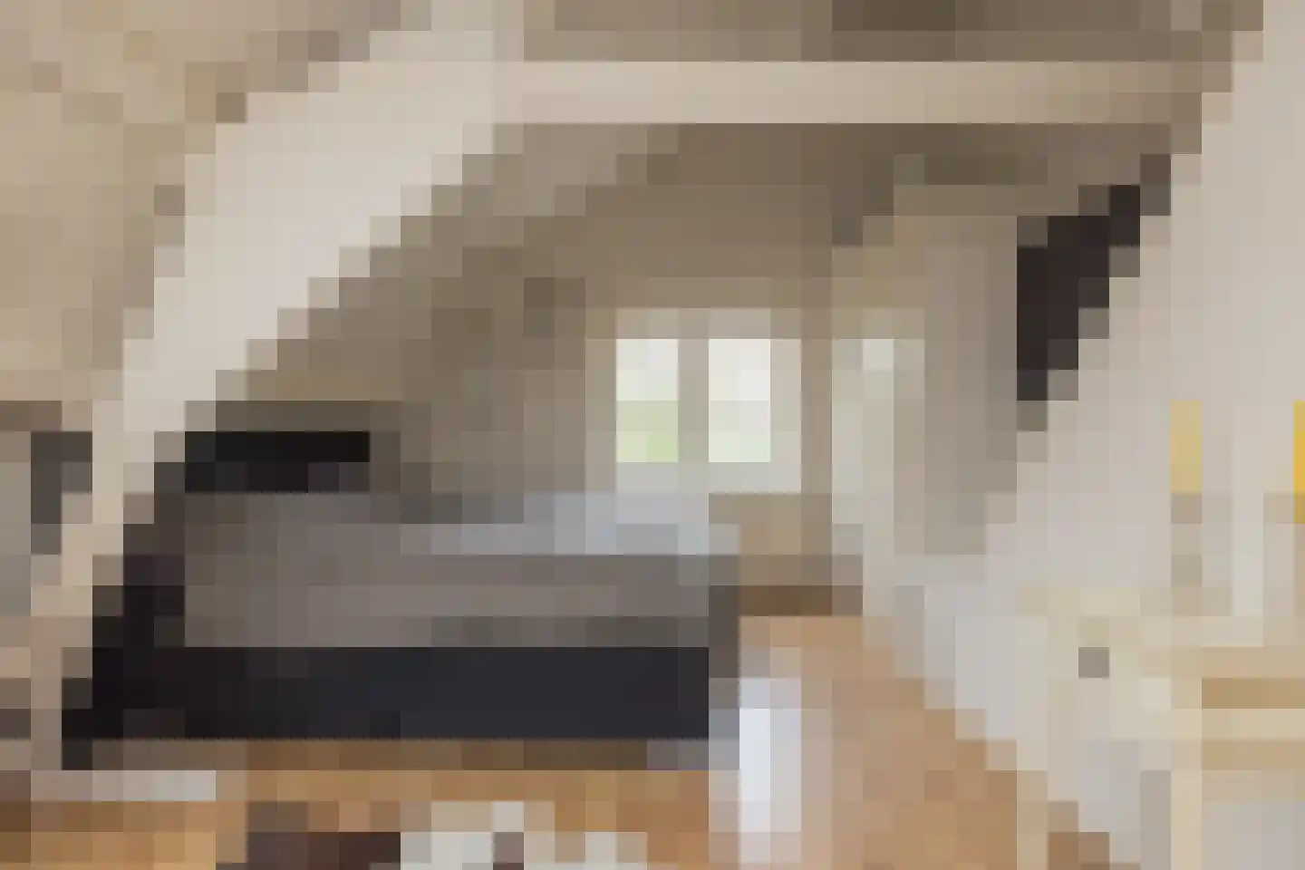 Vliet Noordzijde 57 Rijnsburg thumbnail 39