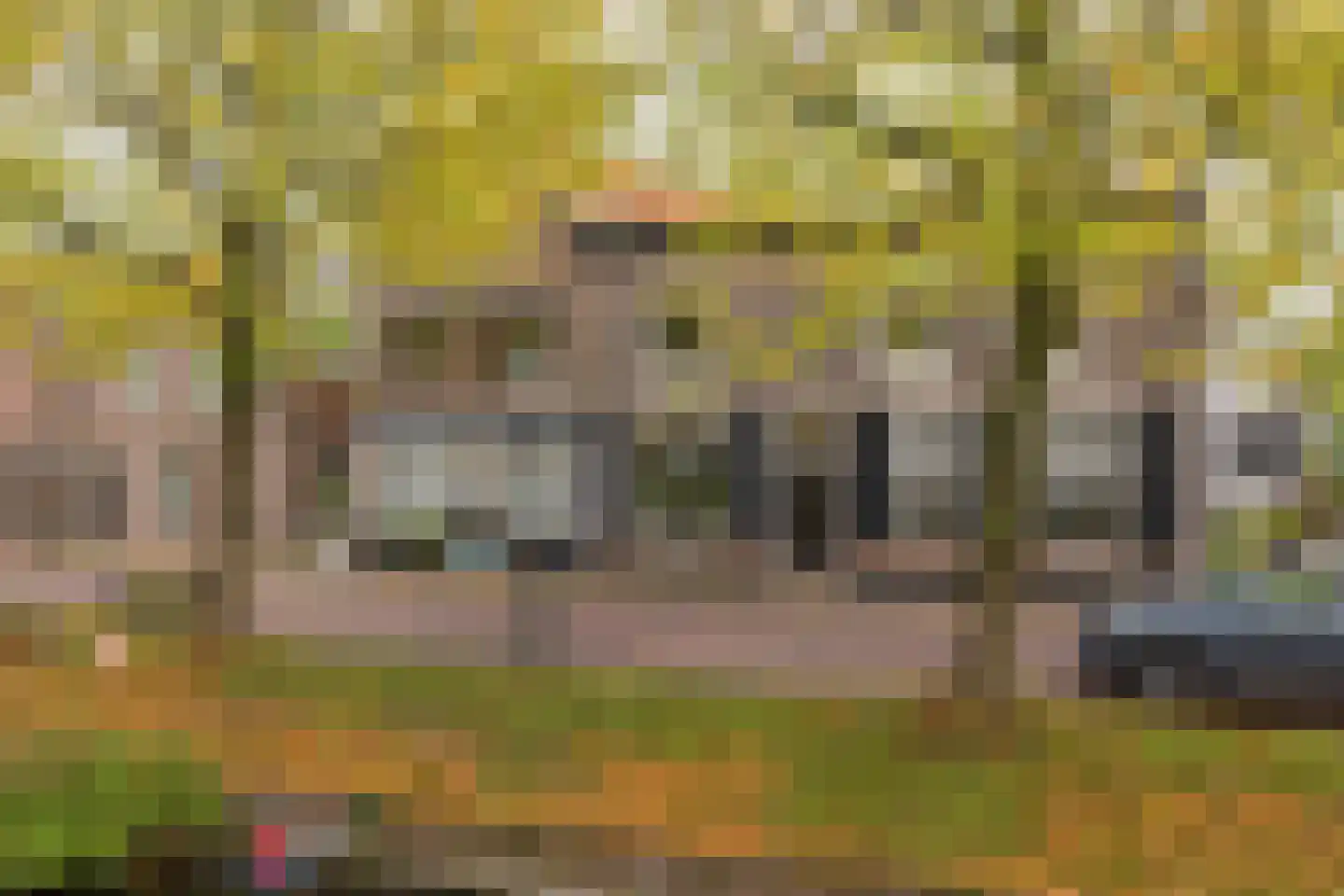 Vliet Noordzijde 57 Rijnsburg thumbnail 4