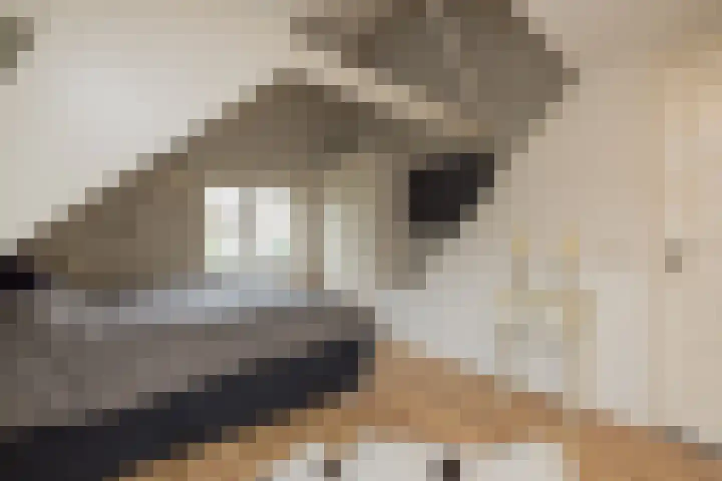 Vliet Noordzijde 57 Rijnsburg thumbnail 40