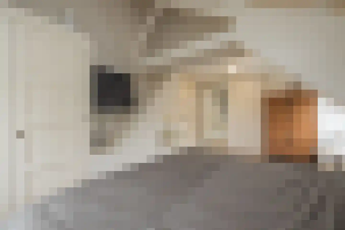 Vliet Noordzijde 57 Rijnsburg thumbnail 41