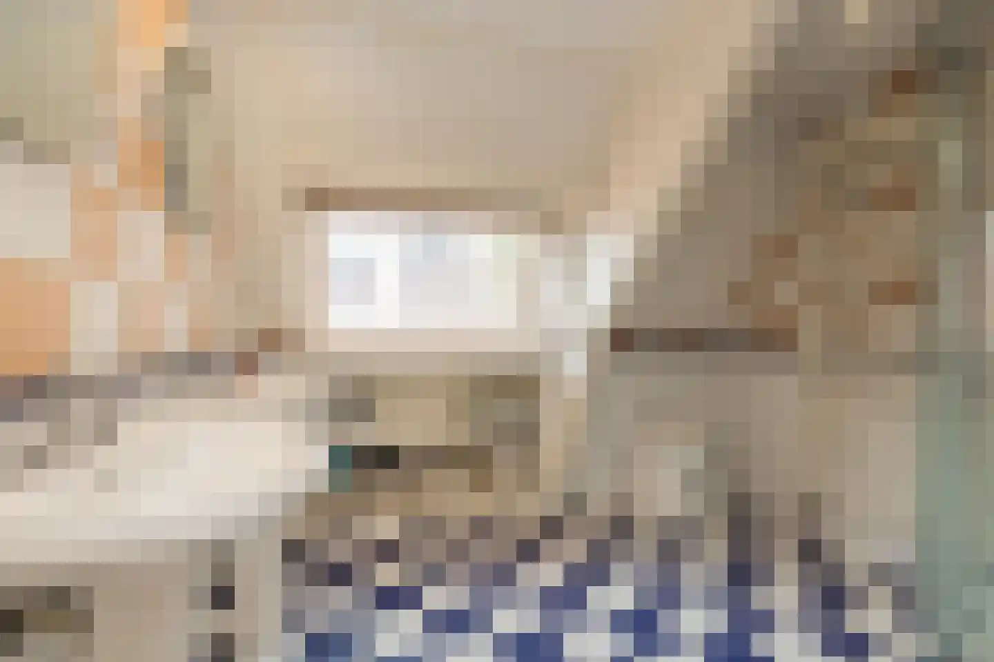 Vliet Noordzijde 57 Rijnsburg thumbnail 42