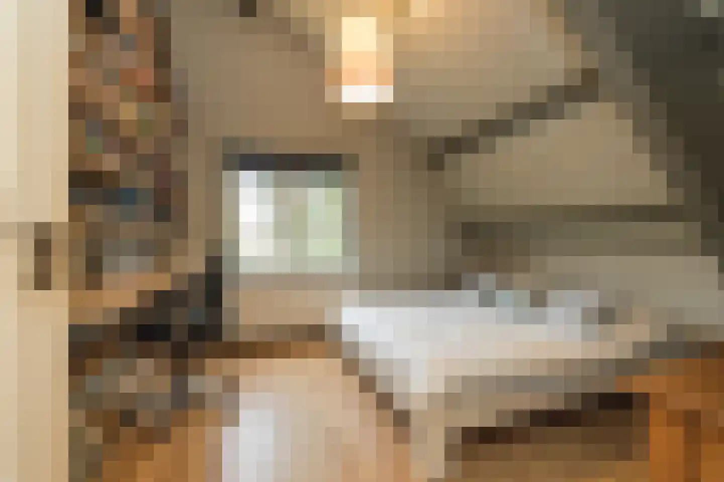 Vliet Noordzijde 57 Rijnsburg thumbnail 46