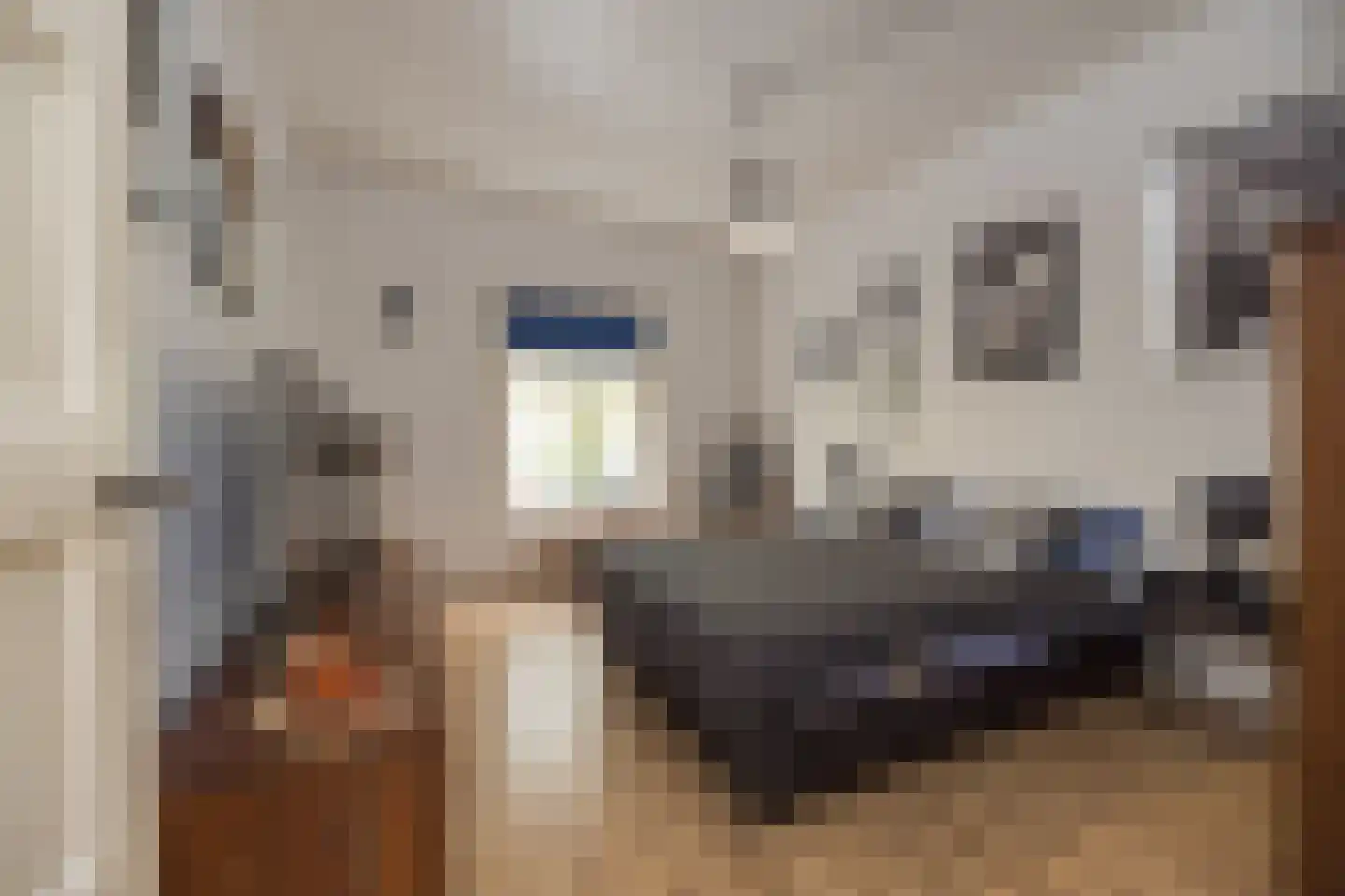 Vliet Noordzijde 57 Rijnsburg thumbnail 52