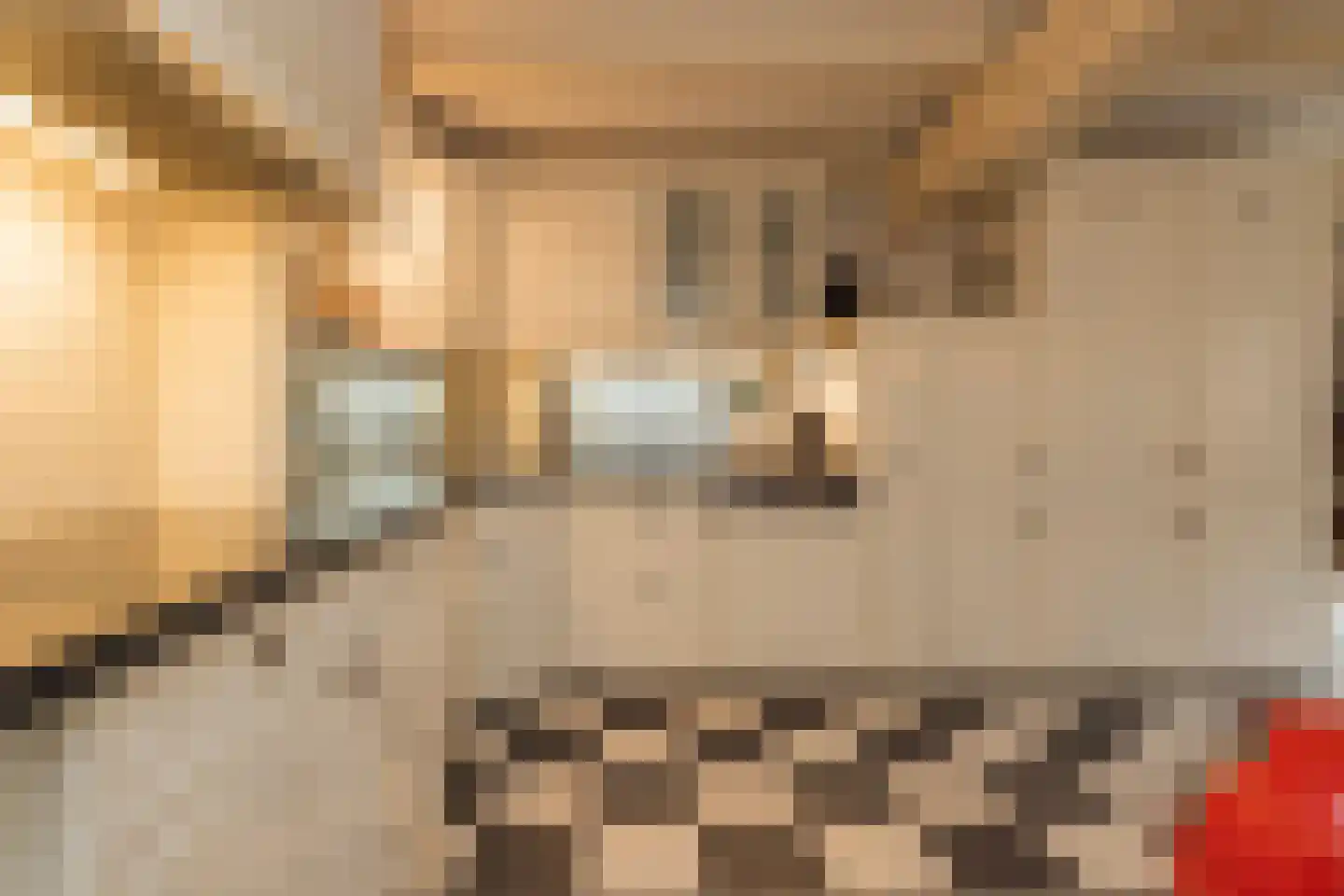 Vliet Noordzijde 57 Rijnsburg thumbnail 6