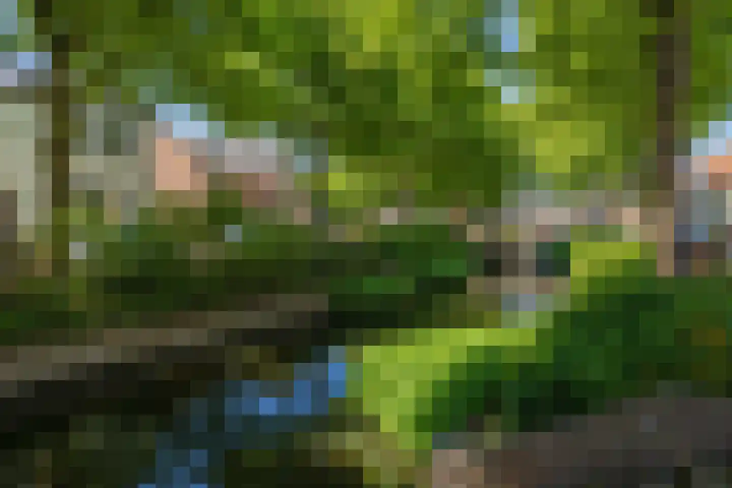 Vliet Noordzijde 57 Rijnsburg thumbnail 62