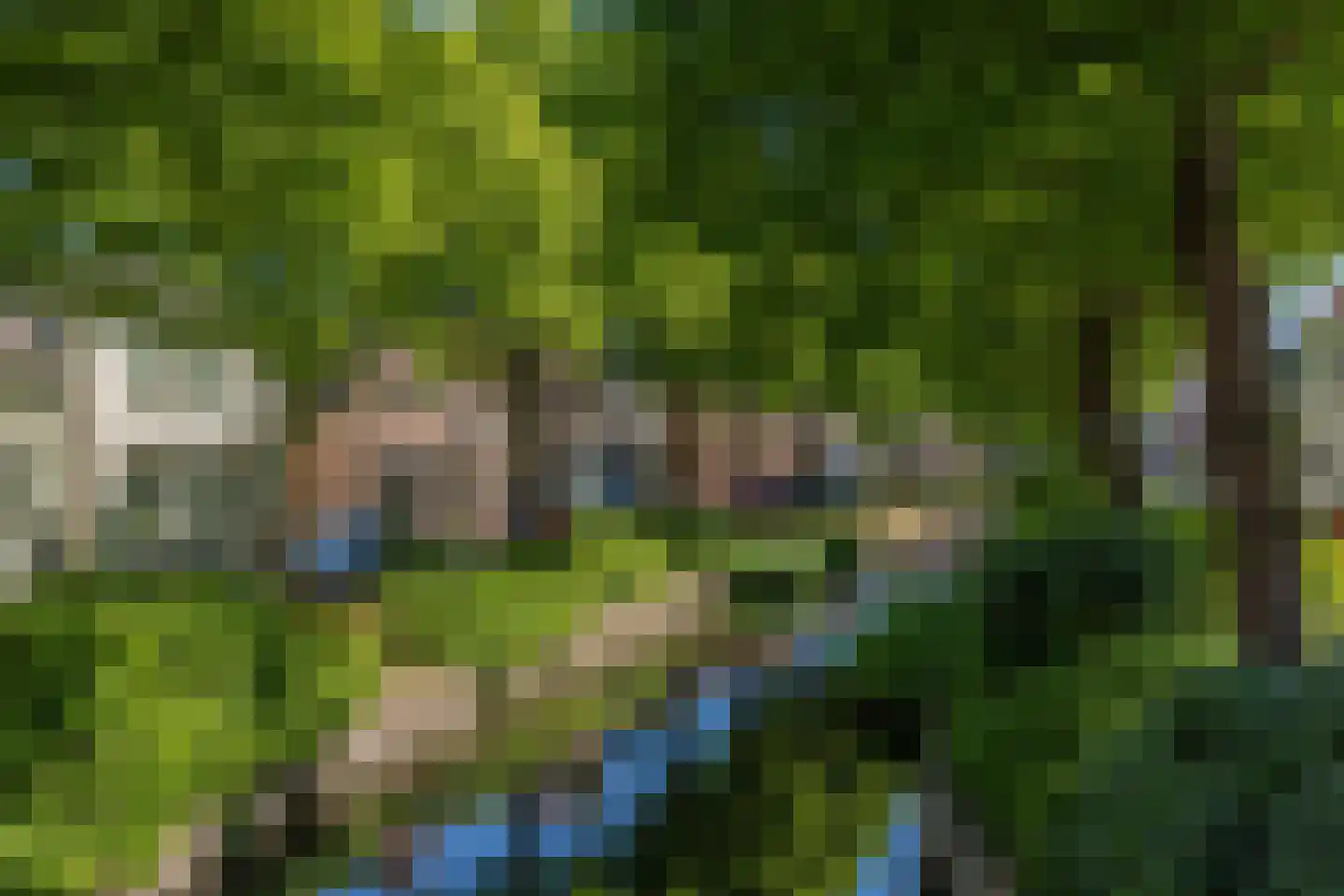 Vliet Noordzijde 57 Rijnsburg thumbnail 63