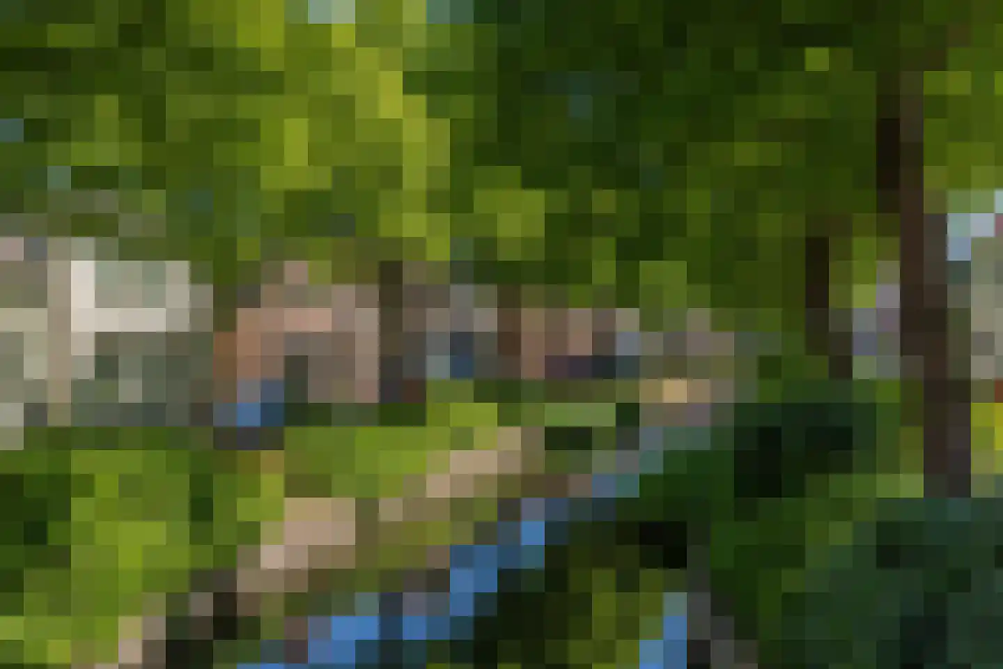 Vliet Noordzijde 57 Rijnsburg thumbnail 63
