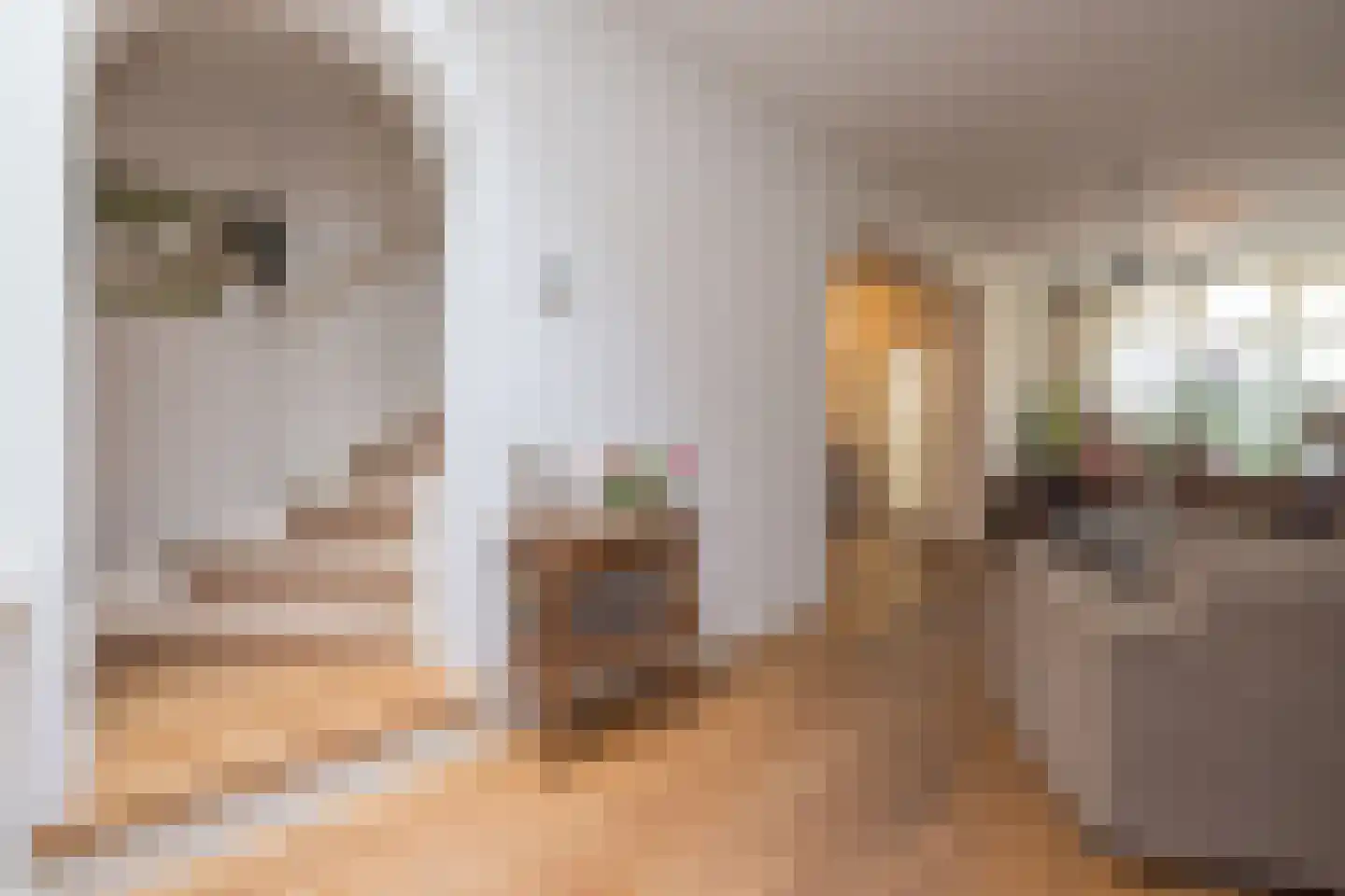 Vliet Noordzijde 57 Rijnsburg thumbnail 9